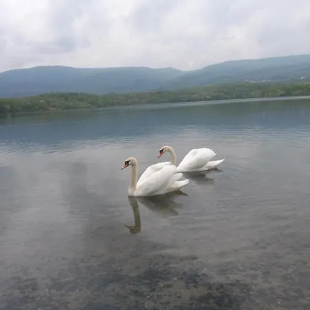 Paradise Duchcov